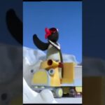 So many Accidents! 🐧 #Pingu - Kids (0-4), Kingdom Kids Zone, Shorts - Pingu - Official Channel