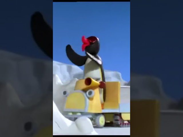 So many Accidents! 🐧 #Pingu - Kids (0-4), Kingdom Kids Zone, Shorts - Pingu - Official Channel