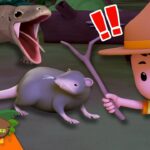 Witness21 Editor  2024 11 23