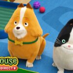 Agent Binky: The Chair Affair / Space Pets | NEW SHOW! FULL EPISODE | TREEHOUSE DIRECT - Kids TV Series, Kingdom Kids Zone - Treehouse Direct