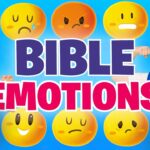 Witness21  2024 11 13