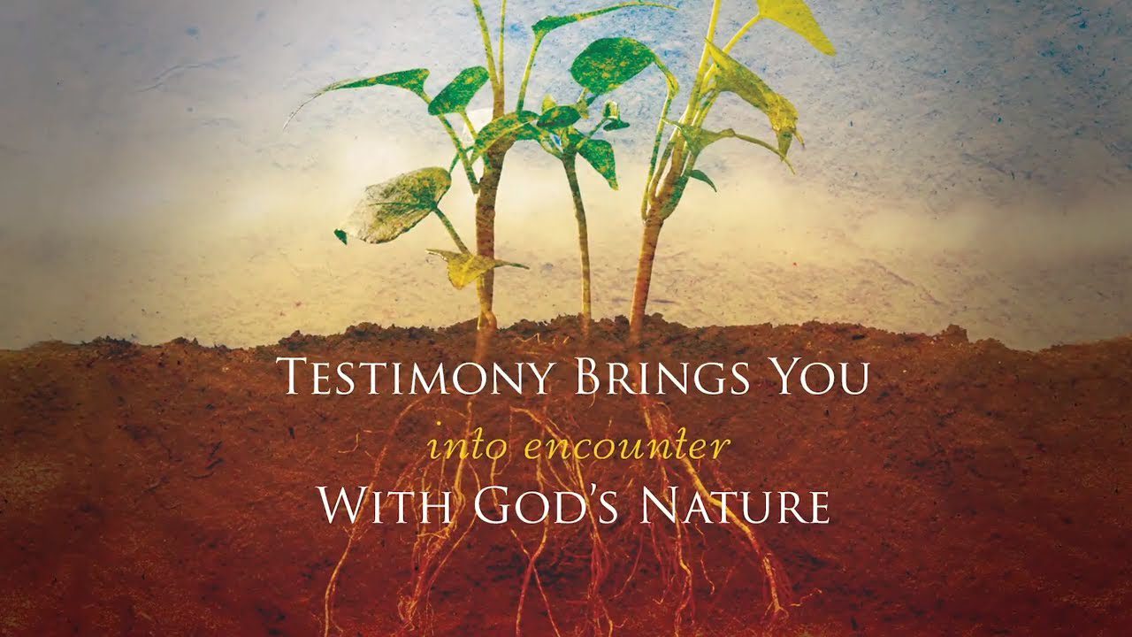 Testimony Brings Encounter with God's Nature - Bill Johnson | Strengthen Yourself in the Lord ‣ Witness21