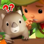 Witness21 Editor  2024 12 19