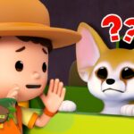 Witness21 Editor  2024 12 12