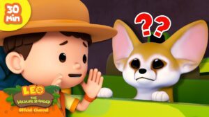 Witness21 Editor  2024 12 12