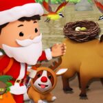 Witness21 Editor  2024 12 14