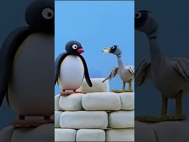 Animal Feeding Time! 🐧 #Pingu - Kids (0-4), Kingdom Kids Zone, Shorts - Pingu - Official Channel