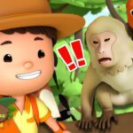 Witness21 Editor  2024 12 07