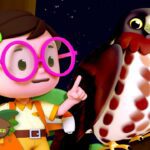 Witness21 Editor  2024 12 21