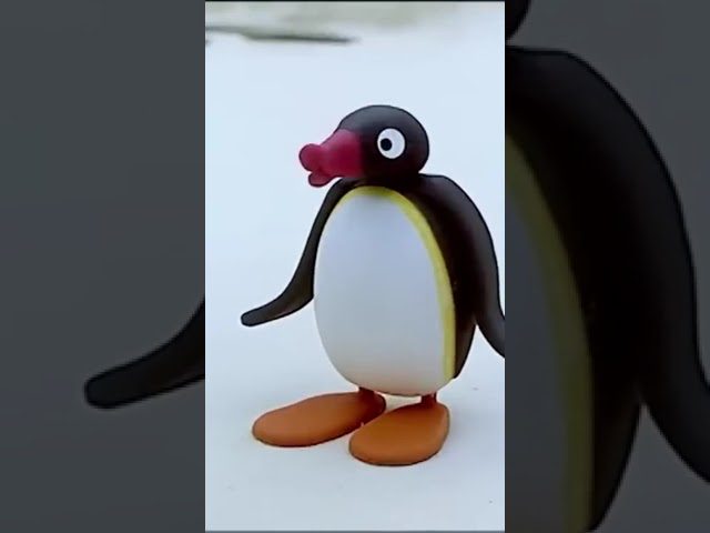 Story Time! 🐧 #Pingu - Kids (0-4), Kingdom Kids Zone, Shorts - Pingu - Official Channel