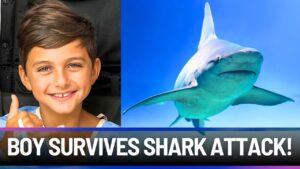 Miracle on the Reef: Boy Survives Attack of Massive Bull Shark! - Accidents, Disasters Survivals, Testimonies - Everyday Miracles Podcast