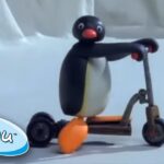 The NEW Scooter! 🐧 | Pingu – Official Channel | Cartoons For Kids - Kids (0-4), Kingdom Kids Zone - Pingu - Official Channel