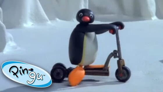 The NEW Scooter! 🐧 | Pingu – Official Channel | Cartoons For Kids - Kids (0-4), Kingdom Kids Zone - Pingu - Official Channel