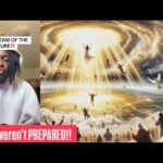 Witness21 Editor  2024 12 16