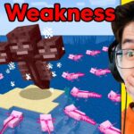 Testing Minecraft Mob Weaknesses To See If They Work! - Gameplay, Kingdom Kids Zone, Minecraft - EYstreem
