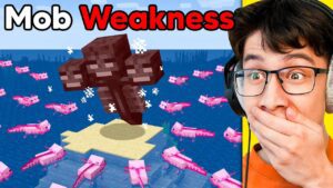Testing Minecraft Mob Weaknesses To See If They Work! - Gameplay, Kingdom Kids Zone, Minecraft - EYstreem
