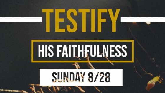 His Faithfulness | Testify ‣ Witness21