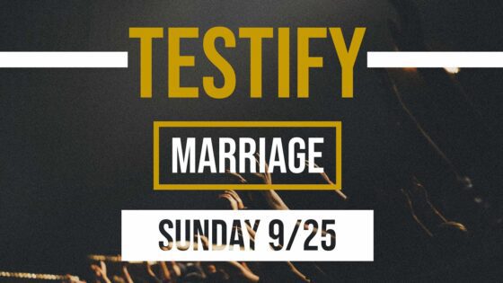 Marriage | Testify ‣ Witness21