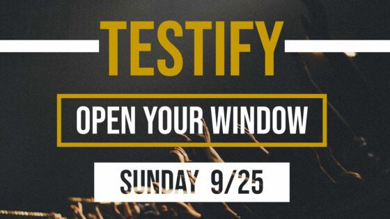 Open Your Window | Testify ‣ Witness21