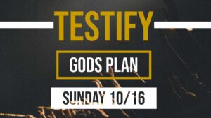 Gods Plan | Testify ‣ Witness21