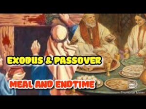 EXODUS PASSOVER MEAL FOR THIS END TIME ‣ Witness21