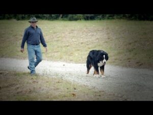 Colonel Jim Harper's Story - Testimonies of Christians ‣ Witness21