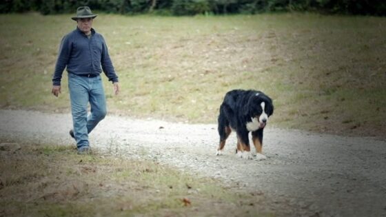 Colonel Jim Harper's Story - Testimonies of Christians ‣ Witness21