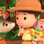 Witness21 Editor  2025 01 23