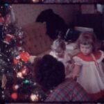 Witness21 Editor  2025 01 10