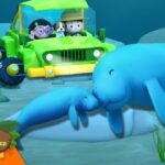 Witness21 Editor  2025 01 04