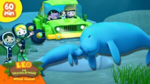 Witness21 Editor  2025 01 04