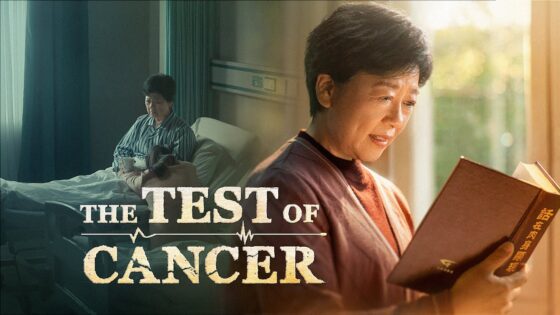 Witness21 Editor  2025 01 11