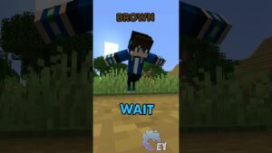 Minecraft, But I Can’t Touch Random Colors… - Gameplay, Kingdom Kids Zone, Minecraft - EYstreem