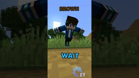 Minecraft, But I Can’t Touch Random Colors… - Gameplay, Kingdom Kids Zone, Minecraft - EYstreem