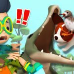 Witness21 Editor  2025 01 18