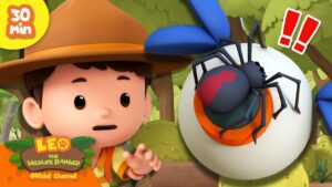 Witness21 Editor  2025 01 02