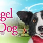 Witness21  2025 01 24