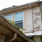 Witness21 Editor  2025 01 15