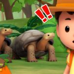 Witness21 Editor  2025 01 09