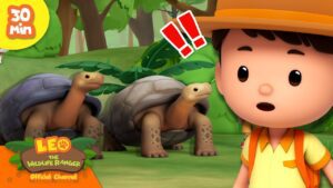 Witness21 Editor  2025 01 09