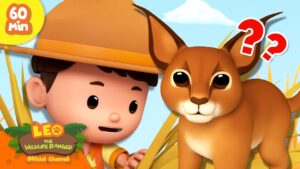 Witness21 Editor  2025 01 11