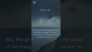 Psalm 23: The powerful message of comfort, protection, and guidance ‣ Witness21