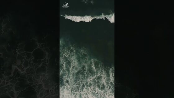 Witness21  2023 10 19