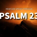 Psalm 23: The Secret to a STRESS-FREE Life ‣ Witness21