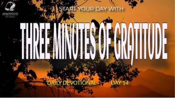 New Daily Devotional- 3 Minutes Gratitude Day 14 ‣ Witness21