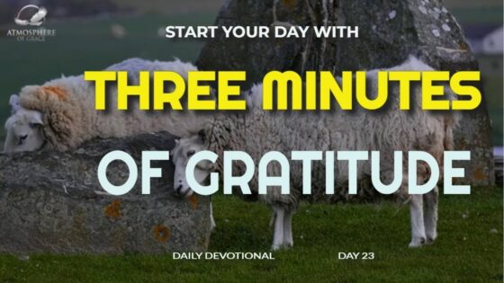 New Daily Devotional- 3 Minutes Gratitude Day 23 ‣ Witness21