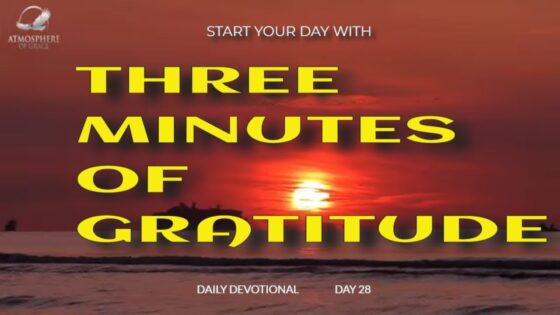 New Daily Devotional- 3 Minutes of Gratitude Day 28 ‣ Witness21