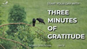 New Daily Devotional- 3 Minutes of Gratitude Day 31 ‣ Witness21