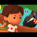 Witness21 Editor  2025 02 15