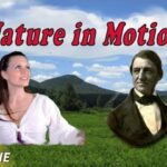 Witness21 Editor  2025 02 28